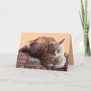 CARTE TURKISH CAT ON THE OLD CARPET