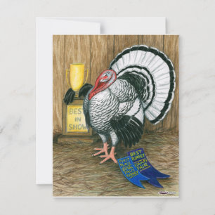 Carte Turquie : Le meilleur spectacle