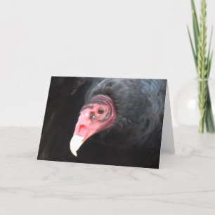 Carte Turquie - Photo vautour