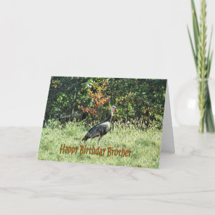 Carte Turquie sauvage