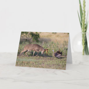 Carte Turquie sauvage aux cerfs de Virginie