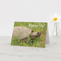 Turtle mignonne Snapping Get Well Card