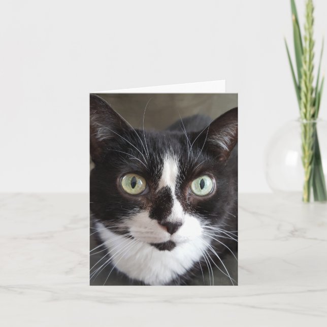 Carte Tuxedo (Devant)