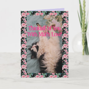 Carte Tuxedo Cat Cute Funny Quote Air Kneading Card