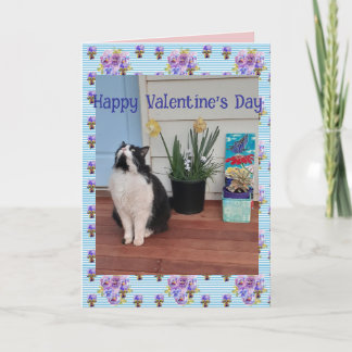 Carte Tuxedo Cat Funny Cute Cats Valentines Day Blue