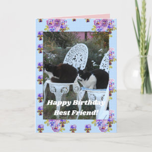 Carte Tuxedo Chat Cute Funny Birthday Friend Cats Card