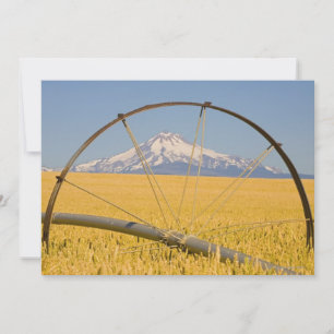 Carte Tuyau d'irrigation en champ