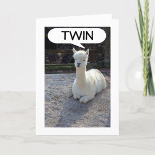 CARTE TWIN-LLAMA DIT QUE PERSONNE N'A UN MEILLEUR DEUX F