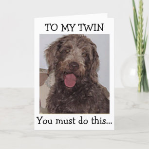 CARTE TWIN=VOUS "DEVEZ" AVOIR UN JOLI ANNIVERSAIRE DIT P