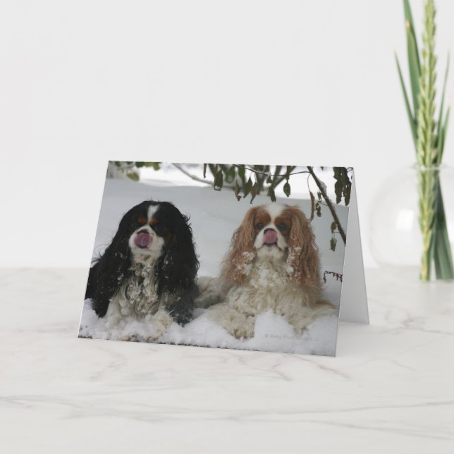 Carte Two Cavaliers dans le Snow 08-01a (Devant)
