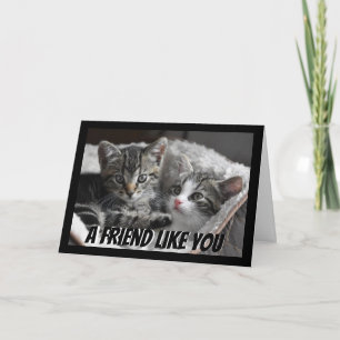 Carte Un Ami Comme Vous Cute Kittens Chat Animal