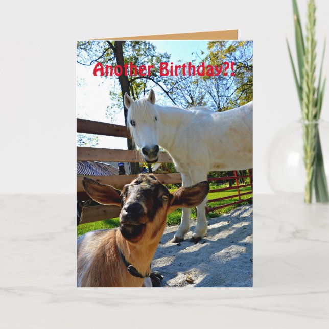 Carte Un autre anniversaire ? ! Avec poney et chèvre (Devant)