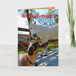 Carte Un autre anniversaire ? ! Avec poney et chèvre