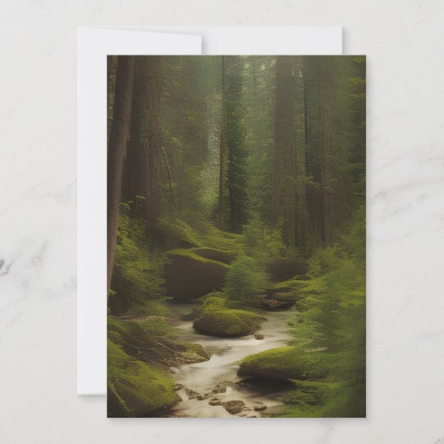 Carte Un Beau Fleuve Forestier (Devant)
