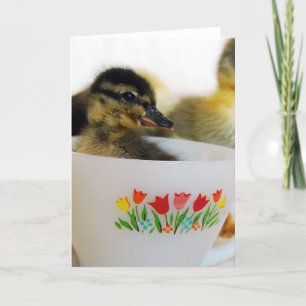 Carte Un canard dans un thé