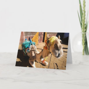 Carte Un chameau amical attend son prochain cavalier, le