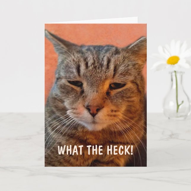 Carte Un Chat Impatient En Colère Se Porte Bien (Petite plante)
