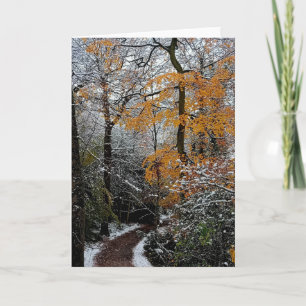 Carte Un chemin à travers les arbres