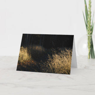 Carte Un chemin à travers une forêt d'herbe dorée au sol