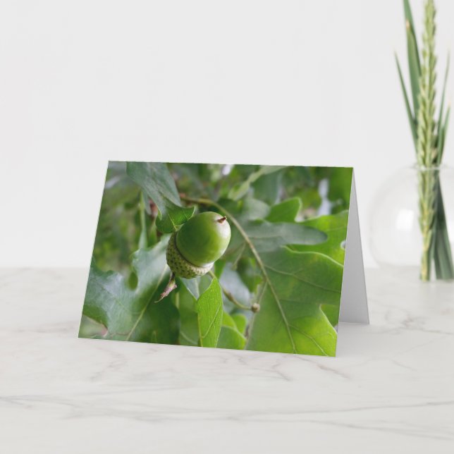 Carte un chêne (Devant)