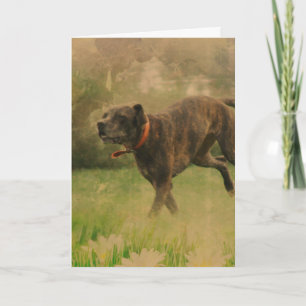 Carte Un chien heureux en toutes occasions