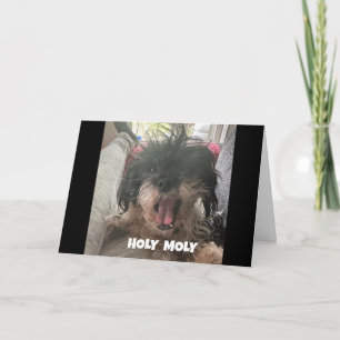 Carte UN CHIEN SÉRIEUX DIT "JEUX 40ème anniversaire"