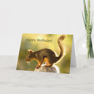 Carte Un écureuil mignon sur un bocal à biscuits