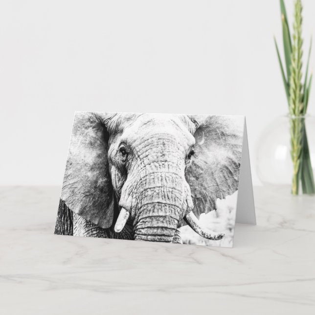 Carte Un éléphant n'oublie jamais — merci parfaitement (Devant)