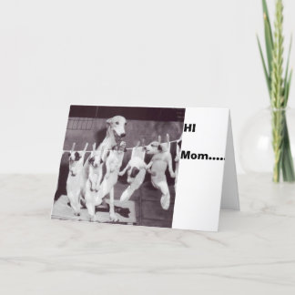 Carte Un Greyhound heureux avec ses chiots '55 par Nat F