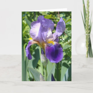 Carte un iris parfait simple