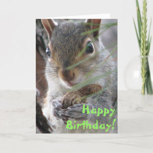 Carte Un Joli Écureuil Creusé Un Arachide Joyeux Anniver