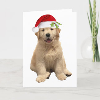 Carte Un Noël d'archie