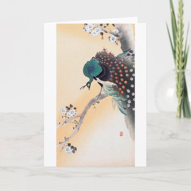 Carte Un paon sur un cerisier en fleurs, Ohara Koson (Devant)