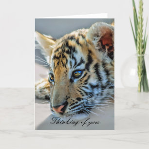 Carte Un petit tigre mignon