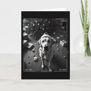 Carte Un Retriever Du Labrador De Noël Capturé À L'Appar