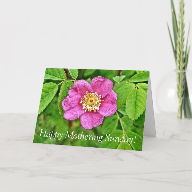 Carte Un Rose sauvage (Devant)