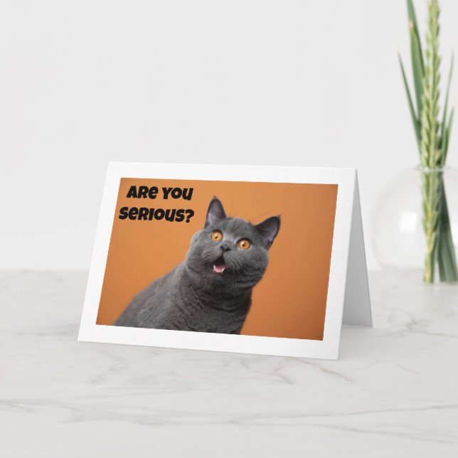 Carte UN SÉRIEUX CHAT DIT "HEUREUX 40ème ANNIVERSAIRE" (Devant)