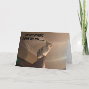 CARTE UN SÉRIEUX CHAT DIT "JOLI ANNIVERSAIRE"