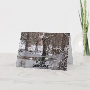 CARTE UN SITE PAISIBLE/BEAU POUR NOËL