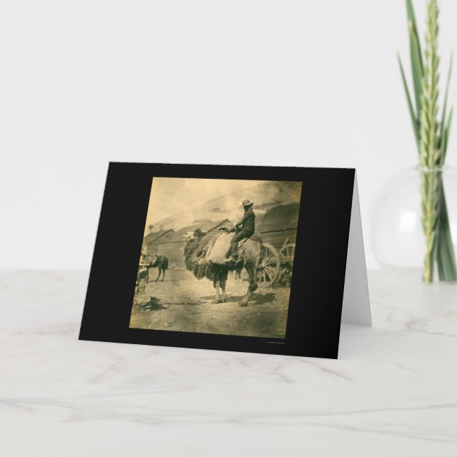Carte Un soldat de guerre de Crimée en chameau 1855 (Devant)