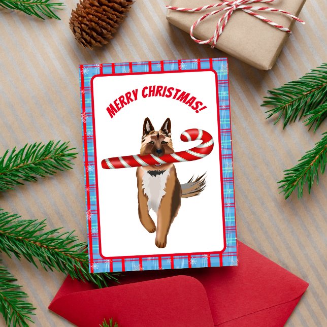 Carte Un Sucre de canne berger très allemand Noël (Great for the German Shepherd fan! )