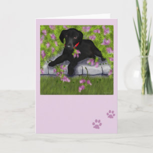 Carte Under the Lilacs