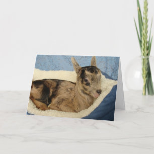 Carte Une Bouteille Nommée Aussie