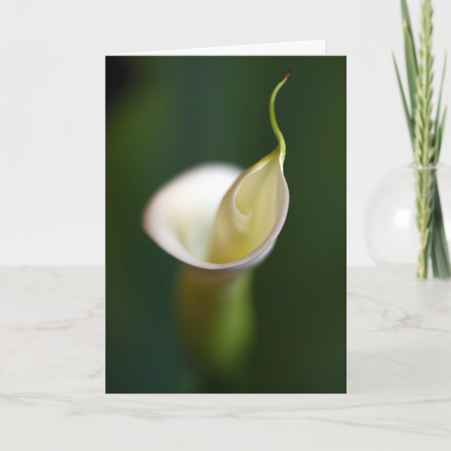 Carte Une dame dans le blanc (Devant)
