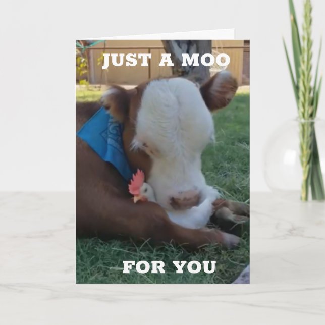 CARTE UNE MOO ET UN SOUHAIT POUR "VOTRE ANNIVERSAIRE" (Devant)