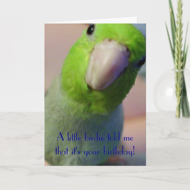 Carte Une petite birdie m'a indiqué… (Devant)