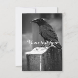 Carte Une plumes trouvée