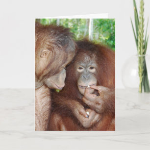 Carte Une Princesse reçoit tous les soins