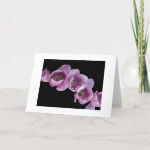 Carte "Une vague des tulipes pourpres "