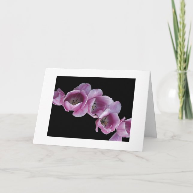 Carte "Une vague des tulipes pourpres " (Devant)